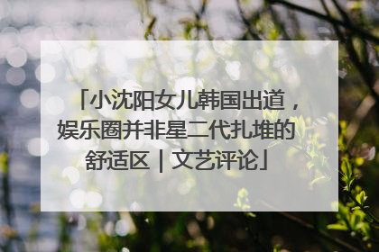 小沈阳女儿韩国出道，娱乐圈并非星二代扎堆的舒适区｜文艺评论