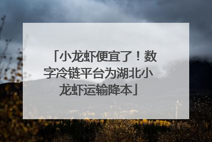 小龙虾便宜了！数字冷链平台为湖北小龙虾运输降本