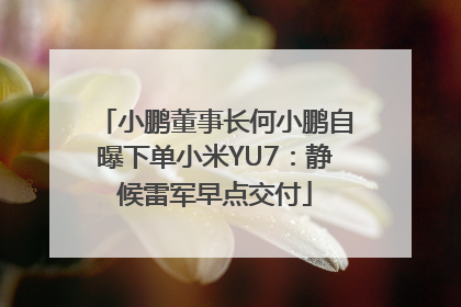 小鹏董事长何小鹏自曝下单小米YU7：静候雷军早点交付
