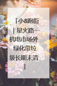 小8跑街｜星火路一机电市场外 绿化带垃圾长期未清