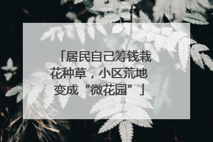 居民自己筹钱栽花种草，小区荒地变成“微花园”