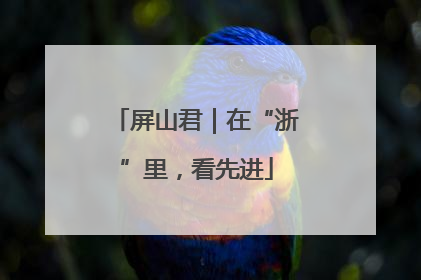 屏山君｜在“浙”里，看先进