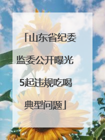山东省纪委监委公开曝光5起违规吃喝典型问题