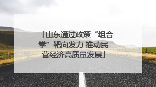 山东通过政策“组合拳”靶向发力 推动民营经济高质量发展
