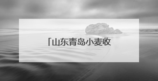山东青岛小麦收获作业全面展开
