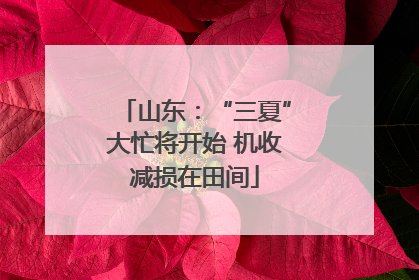 山东：“三夏”大忙将开始 机收减损在田间