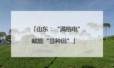山东：“满格电”赋能“慧种田”