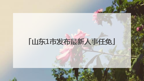 山东1市发布最新人事任免