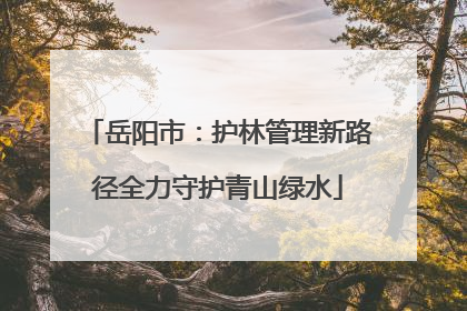 岳阳市：护林管理新路径全力守护青山绿水