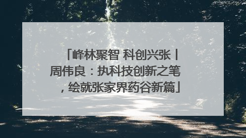 峰林聚智 科创兴张丨周伟良：执科技创新之笔，绘就张家界药谷新篇