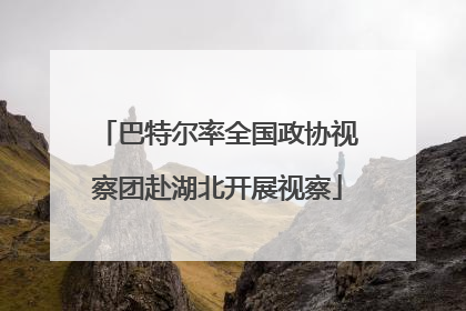 巴特尔率全国政协视察团赴湖北开展视察