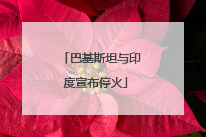 巴基斯坦与印度宣布停火