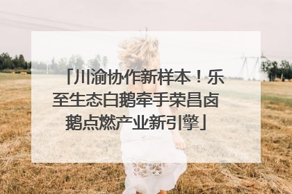 川渝协作新样本！乐至生态白鹅牵手荣昌卤鹅点燃产业新引擎