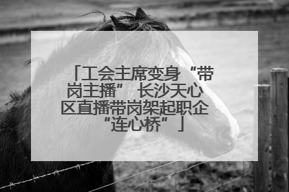 工会主席变身“带岗主播” 长沙天心区直播带岗架起职企“连心桥”
