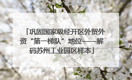 巩固国家级经开区外贸外资“第一梯队”地位——解码苏州工业园区样本