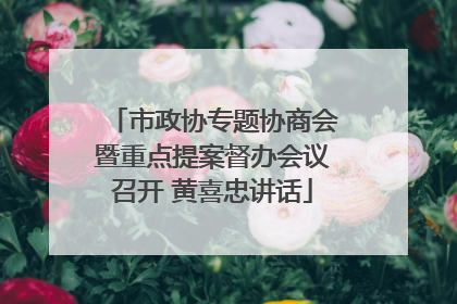 市政协专题协商会暨重点提案督办会议召开 黄喜忠讲话