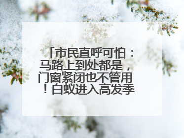 市民直呼可怕：马路上到处都是，门窗紧闭也不管用！白蚁进入高发季，但尚未达顶峰