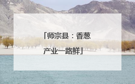 师宗县：香葱产业一路鲜