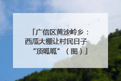 广信区黄沙岭乡：西瓜大棚让村民日子“顶呱呱”（图）