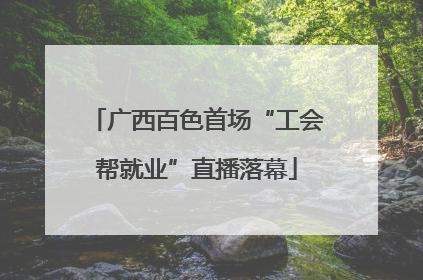 广西百色首场“工会帮就业”直播落幕