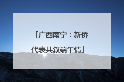 广西南宁：新侨代表共叙端午情