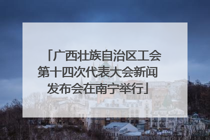 广西壮族自治区工会第十四次代表大会新闻发布会在南宁举行