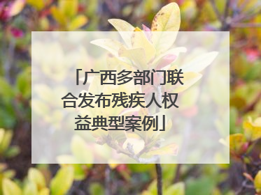 广西多部门联合发布残疾人权益典型案例