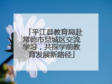 平江县教育局赴常德市鼎城区交流学习，共探学前教育发展新路径