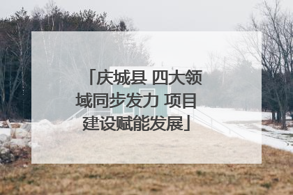 庆城县 四大领域同步发力 项目建设赋能发展