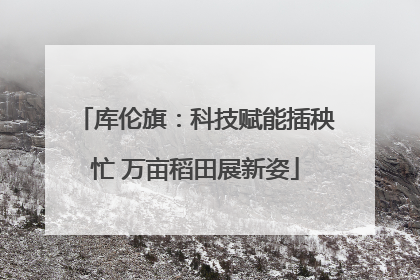 库伦旗：科技赋能插秧忙 万亩稻田展新姿