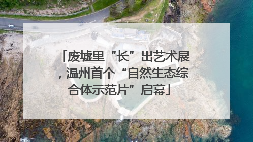 废墟里“长”出艺术展，温州首个“自然生态综合体示范片”启幕