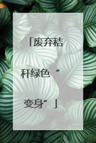 废弃秸秆绿色“变身”