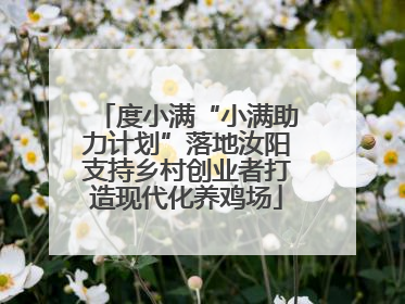 度小满“小满助力计划”落地汝阳支持乡村创业者打造现代化养鸡场
