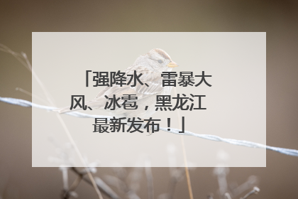 强降水、雷暴大风、冰雹，黑龙江最新发布！