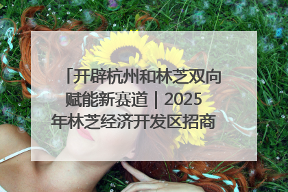开辟杭州和林芝双向赋能新赛道｜2025年林芝经济开发区招商引资（杭州）推介展销活动在杭举办