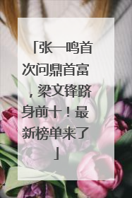 张一鸣首次问鼎首富，梁文锋跻身前十！最新榜单来了