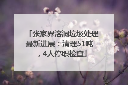张家界溶洞垃圾处理最新进展：清理51吨，4人停职检查