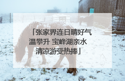张家界连日晴好气温攀升 宝峰湖亲水清凉游受热捧