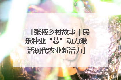 张掖乡村故事｜民乐种业“芯”动力激活现代农业新活力