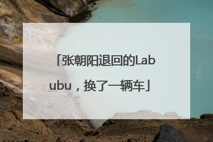 张朝阳退回的Labubu，换了一辆车