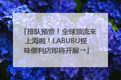 排队预警！全球顶流来上海啦！LABUBU怪味便利店即将开展→