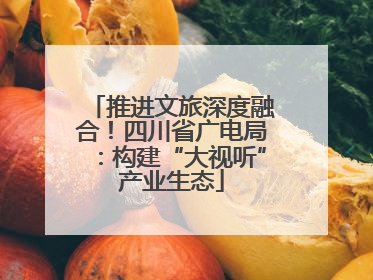 推进文旅深度融合！四川省广电局：构建“大视听”产业生态