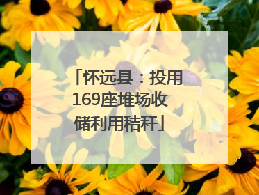 怀远县：投用169座堆场收储利用秸秆