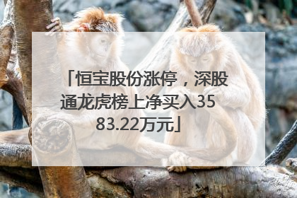 恒宝股份涨停，深股通龙虎榜上净买入3583.22万元