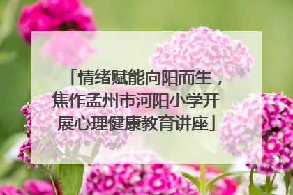情绪赋能向阳而生，焦作孟州市河阳小学开展心理健康教育讲座
