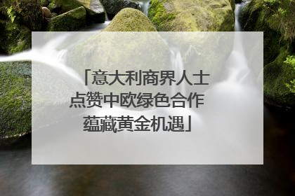 意大利商界人士点赞中欧绿色合作蕴藏黄金机遇