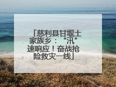 慈利县甘堰土家族乡：“汛”速响应！奋战抢险救灾一线