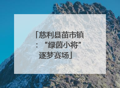 慈利县苗市镇：“绿茵小将”逐梦赛场