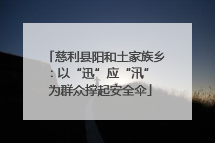 慈利县阳和土家族乡：以“迅”应“汛” 为群众撑起安全伞