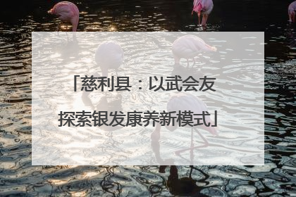 慈利县：以武会友 探索银发康养新模式